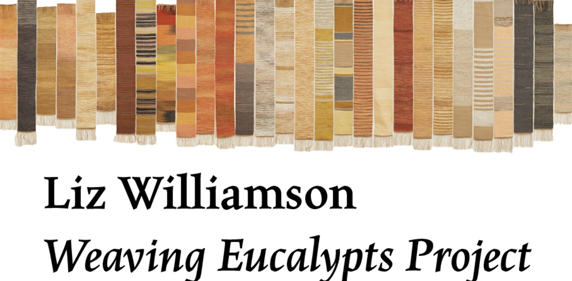 PACC_Website-Hero_Weaving-Eucalypts-Project-_-261023-_-eblakeney.jpg