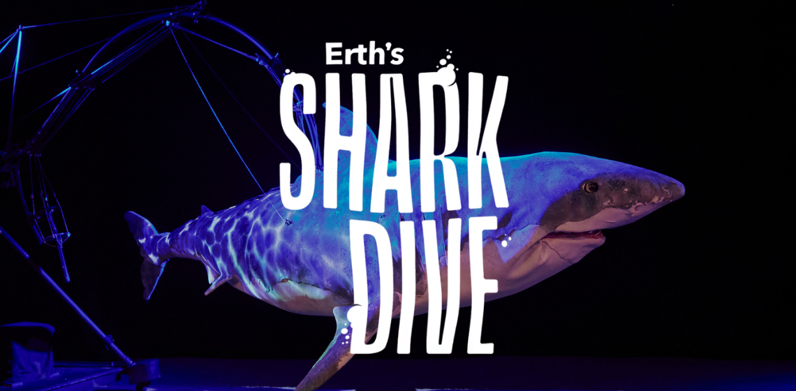 Erths-Shark-Dive-Web-Hero-2.png